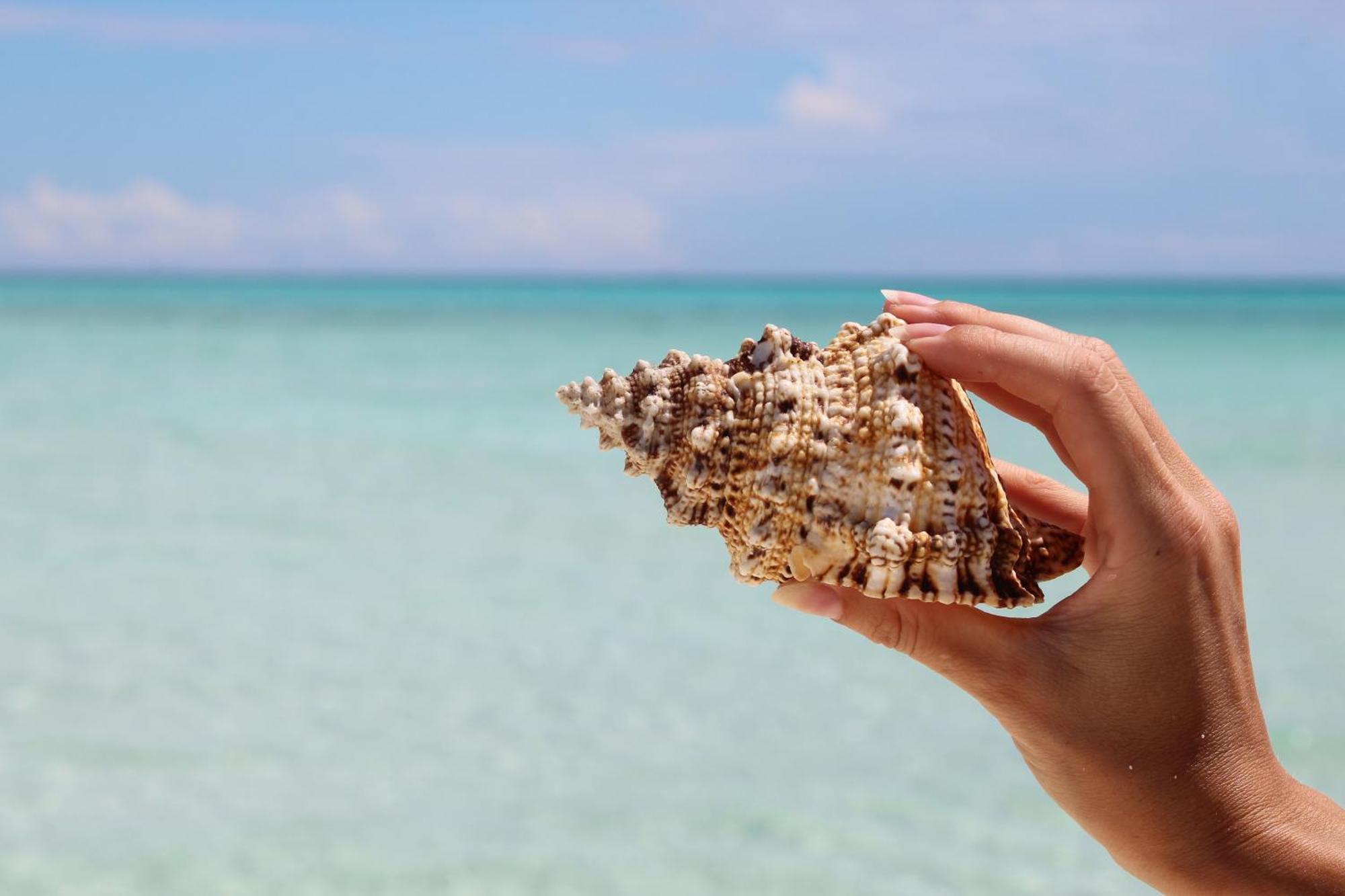 Mamello Beach Club Maldives Feridhoo Eksteriør bilde