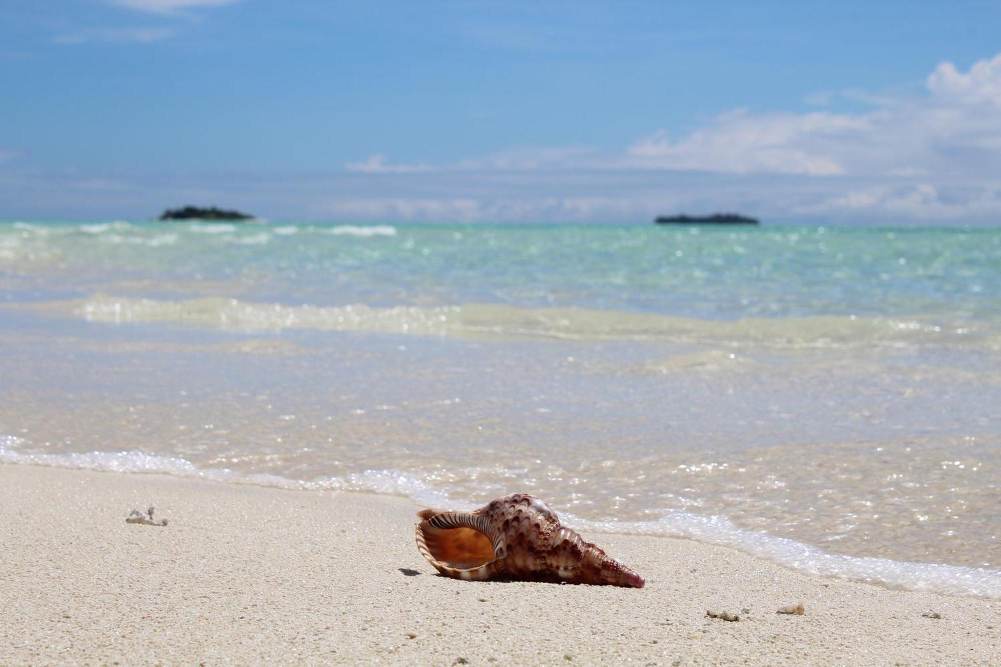 Mamello Beach Club Maldives Feridhoo Eksteriør bilde