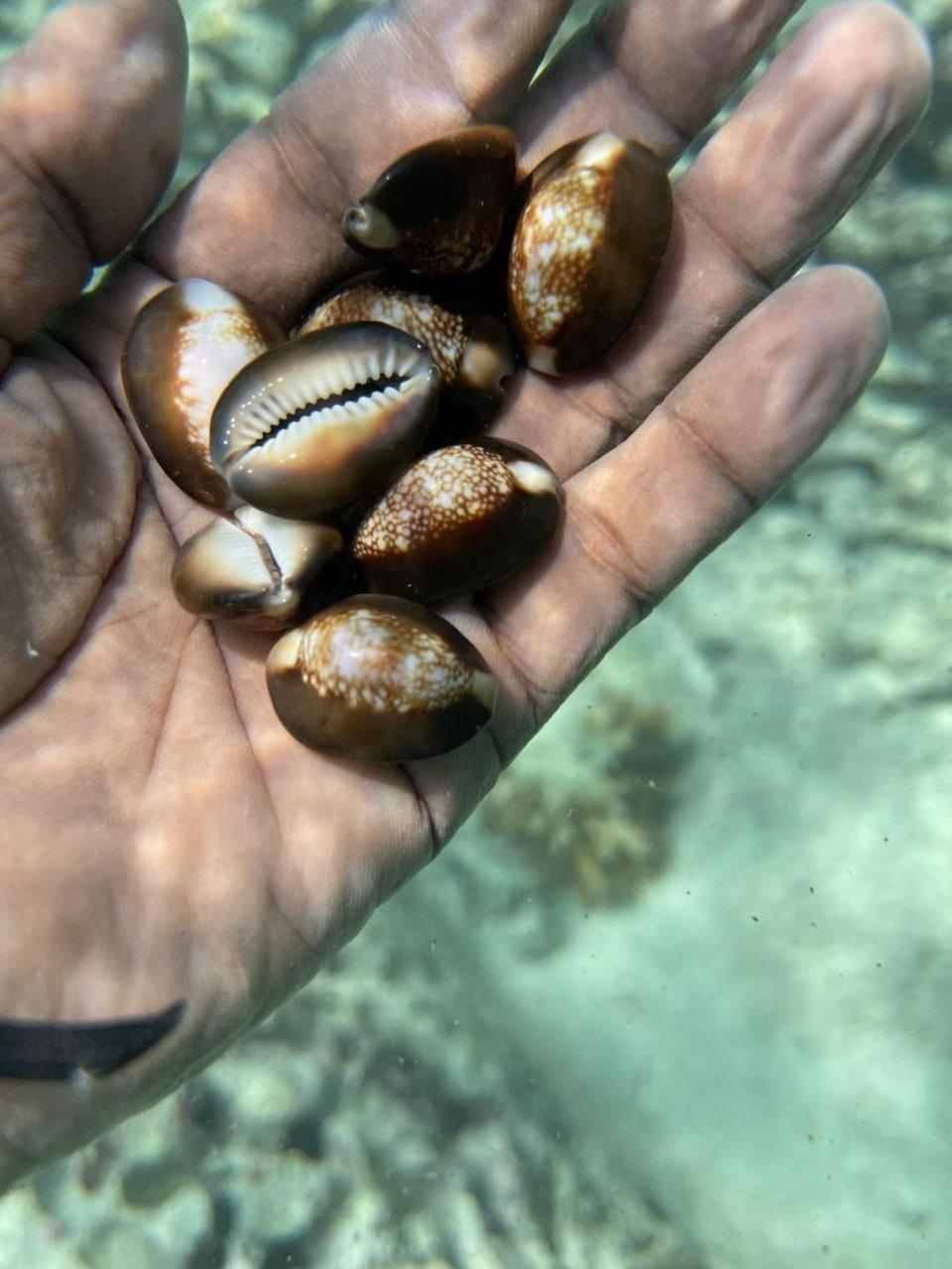 Mamello Beach Club Maldives Feridhoo Eksteriør bilde