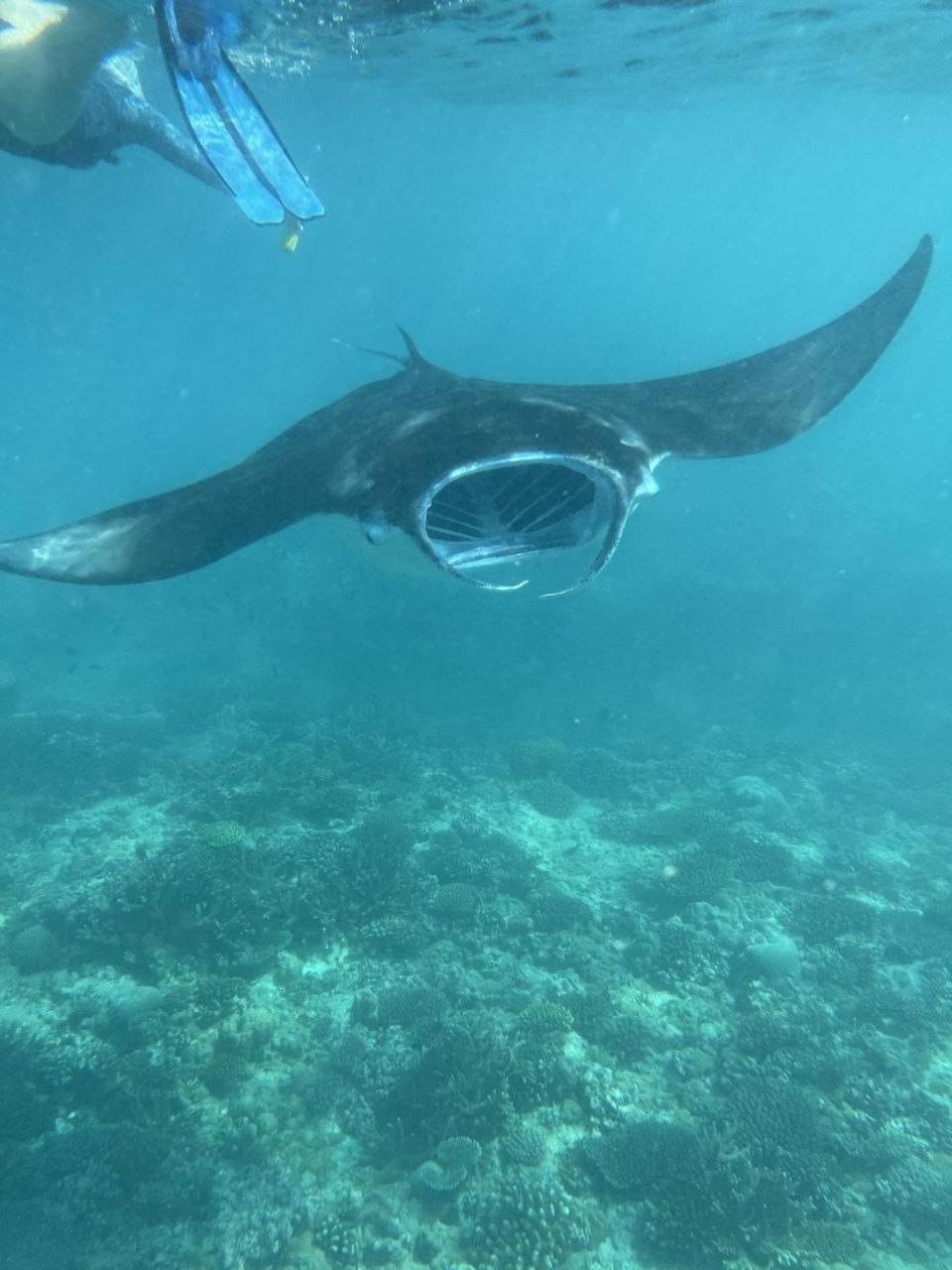Mamello Beach Club Maldives Feridhoo Eksteriør bilde