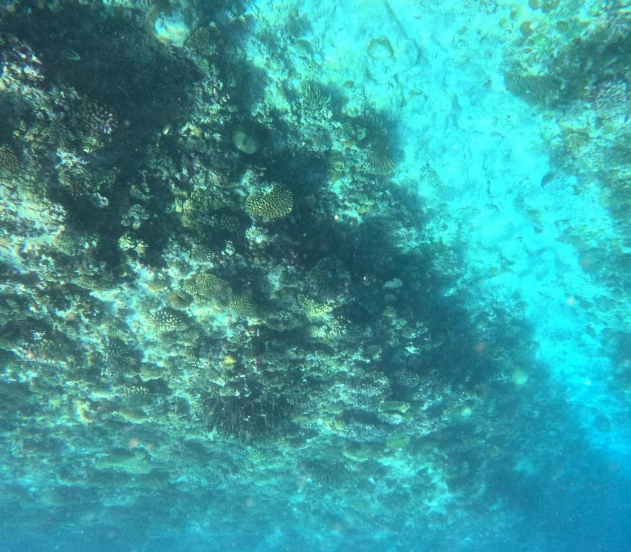 Mamello Beach Club Maldives Feridhoo Eksteriør bilde