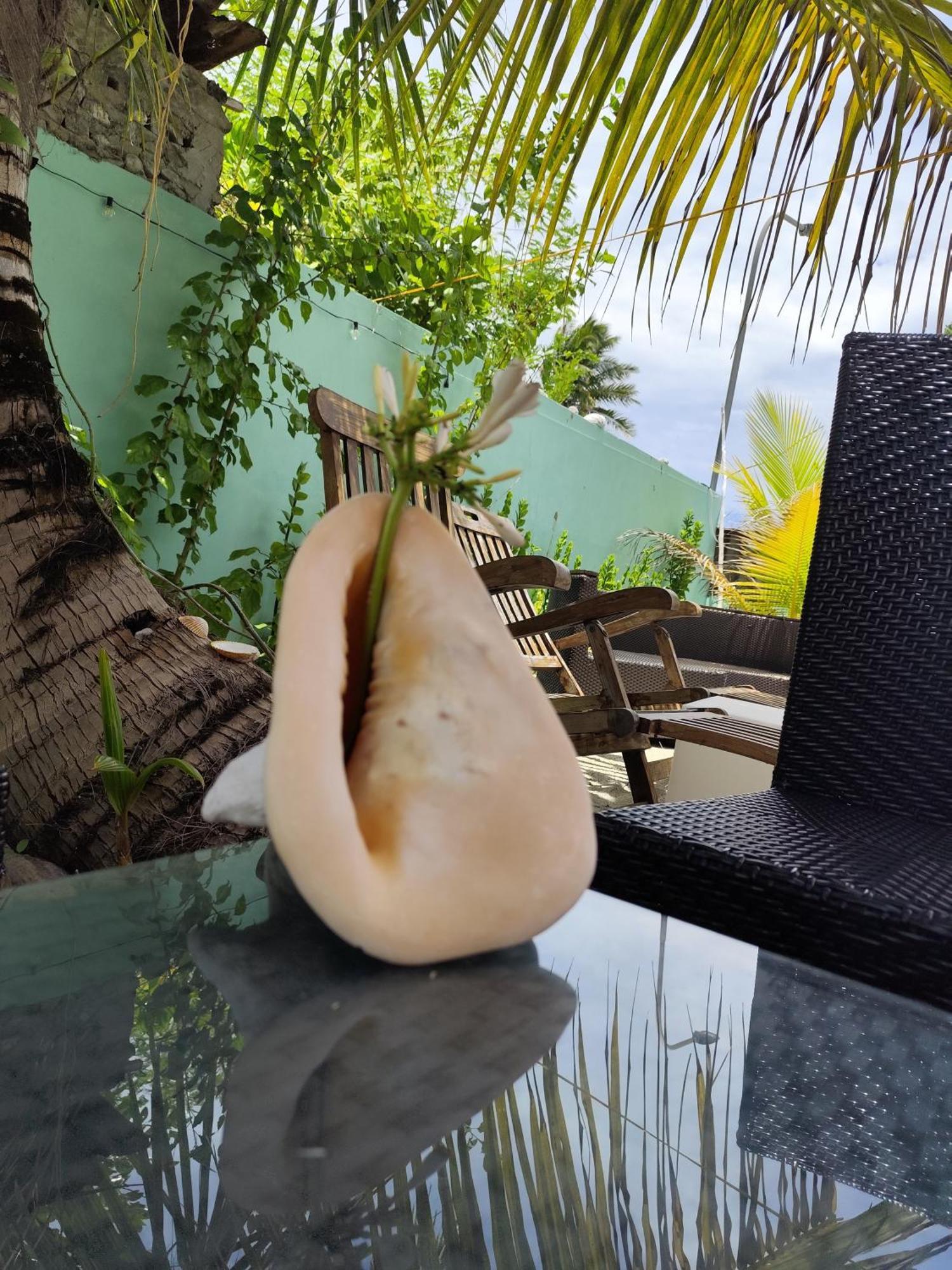 Mamello Beach Club Maldives Feridhoo Eksteriør bilde